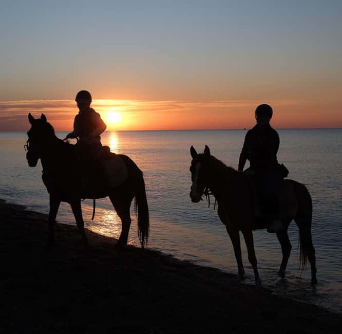 Antalya: Horseback Riding on the Beach and in the Forest - Where To Sit Down Afterward, If You Want Food Nearby