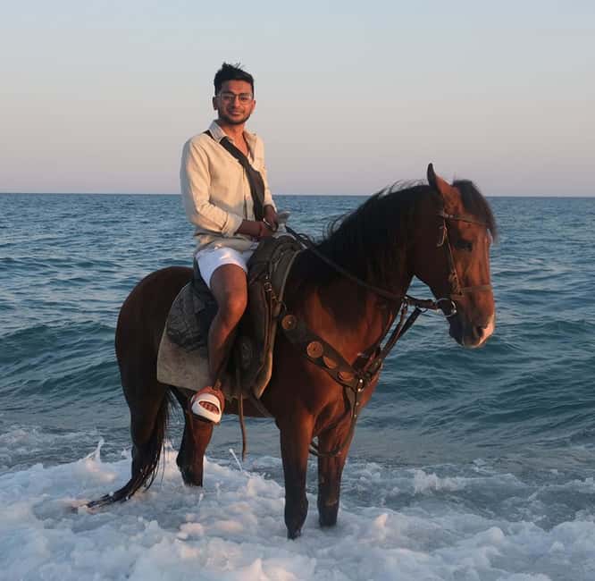 Antalya: Horseback Riding on the Beach and in the Forest - Price and Value: Is $65 Actually Fair Here?
