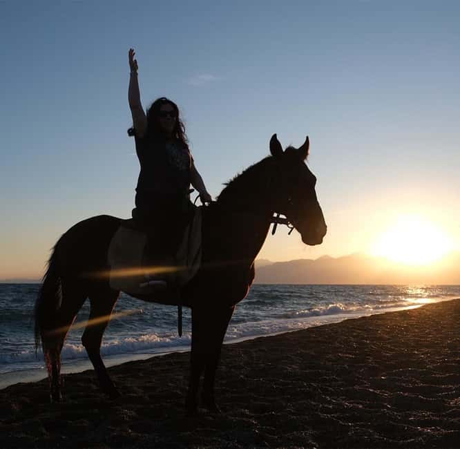 Antalya: Horseback Riding on the Beach and in the Forest - Who This Horse Ride Is Best For (And Who Should Skip It)