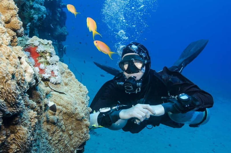 Antalya/Kemer: 2 Dives Scuba Diving Trip with Lunch - Getting to the Poseidon Boat: pickup, timing, and drop-offs