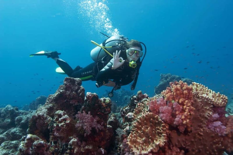Antalya/Kemer: 2 Dives Scuba Diving Trip with Lunch - Instructor quality: why patience is the real luxury