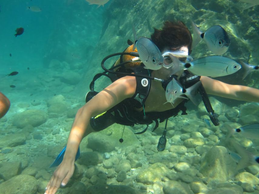 Antalya/Kemer: Scuba Diving Experience with Lunch & Pick up - Kemer to the Mediterranean Bays: How the Day Starts at Kemer Marina