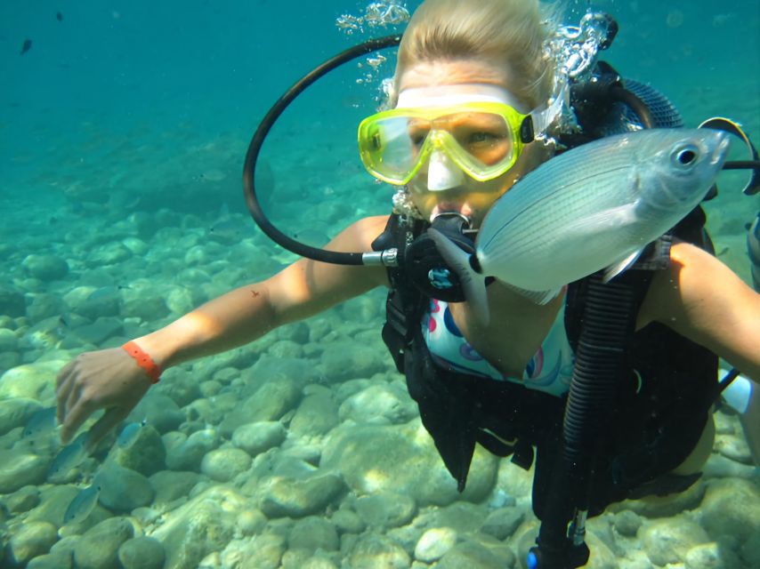 Antalya/Kemer: Scuba Diving Experience with Lunch & Pick up - Snorkel, Swim, and Soak on the Boat Between Underwater Sessions