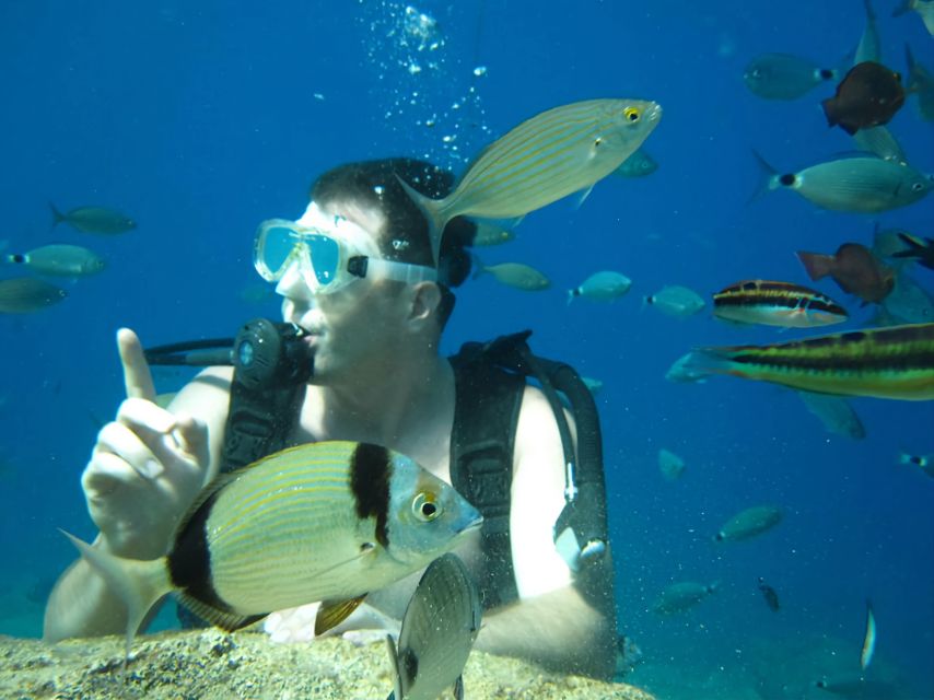 Antalya/Kemer: Scuba Diving Experience with Lunch & Pick up - Price and Value at About $29 per Person, Who It Suits Best