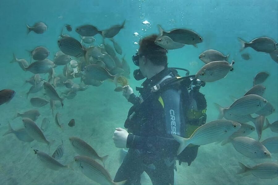 Antalya/Kemer: Scuba Diving Experience with Lunch & Pick up - Should You Book This Kemer Two Bay Scuba Experience?