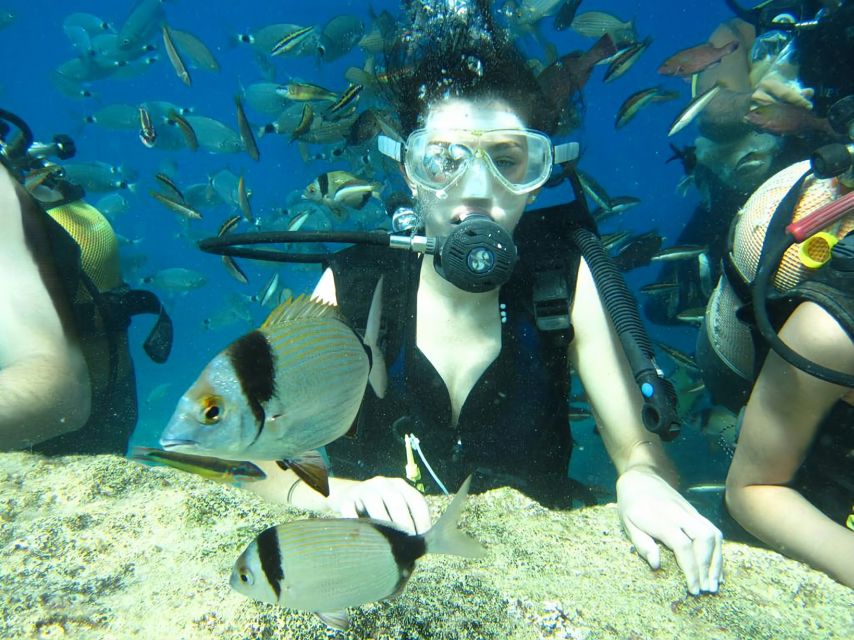 Antalya/Kemer: Scuba Diving Experience with Lunch & Pick up - Aquarium Bay: Hand Feeding Fish and a Gentle First Underwater Stop