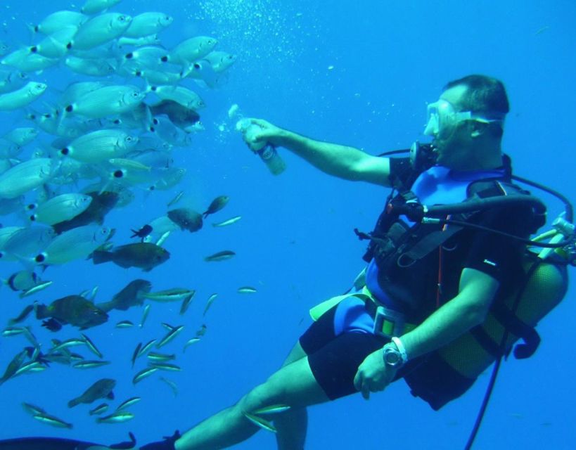 Antalya/Kemer: Scuba Diving with Pickup, Lunch, and 2 Dives - Lunch on Deck: Why It’s Not Just Food, It’s Recovery