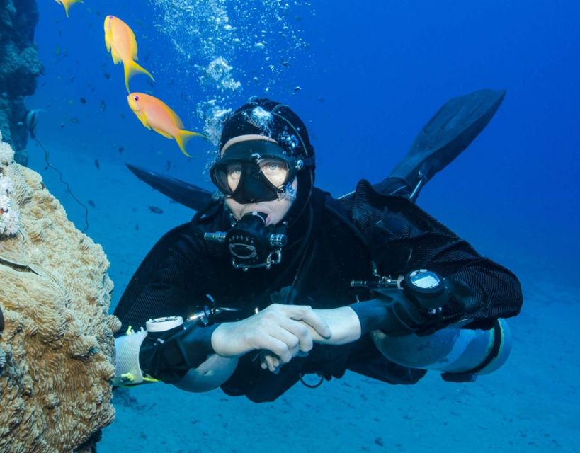 Antalya/Kemer: Scuba Diving with Pickup, Lunch, and 2 Dives - Practical Tips That Make Your Day Smoother
