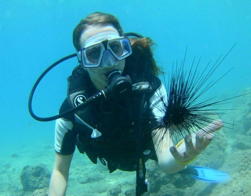 Antalya/Kemer: Scuba Diving with Pickup, Lunch, and 2 Dives - Should You Book This Antalya Two-Spot Scuba Session Day?