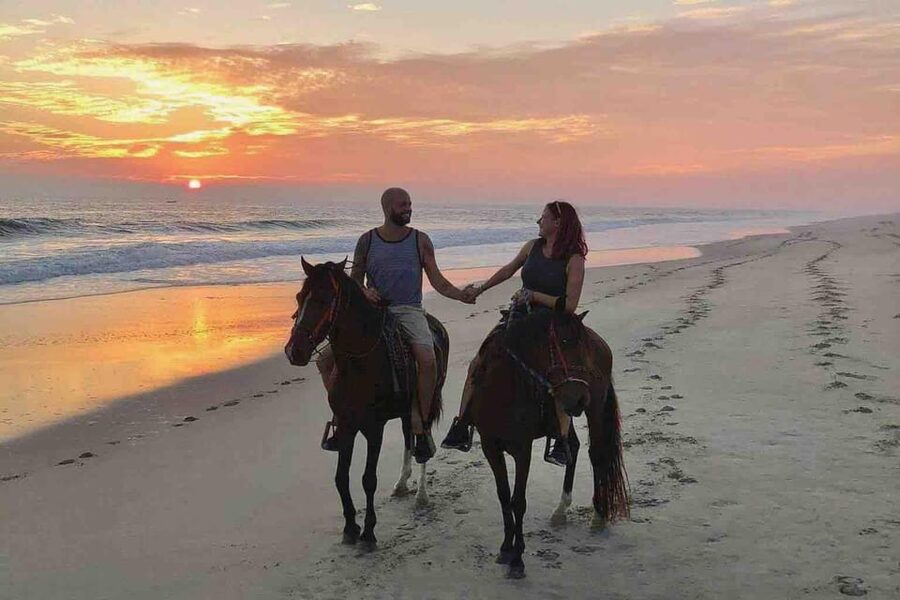 Antalya: Lara Beach & Forrest Horse Riding Safari - Key things to know before you ride