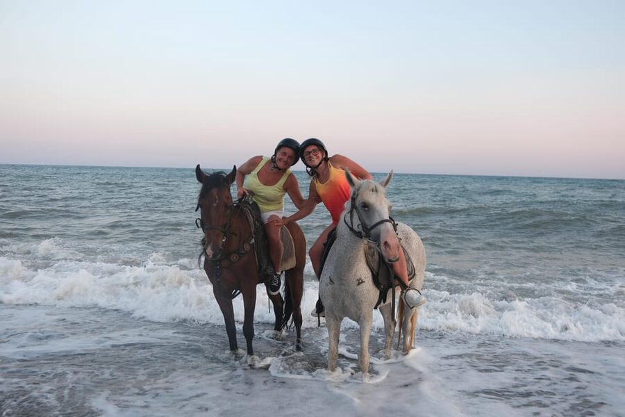 Antalya: Lara Beach & Forrest Horse Riding Safari - From pine forest to Lara coast, in 80 to 90 minutes