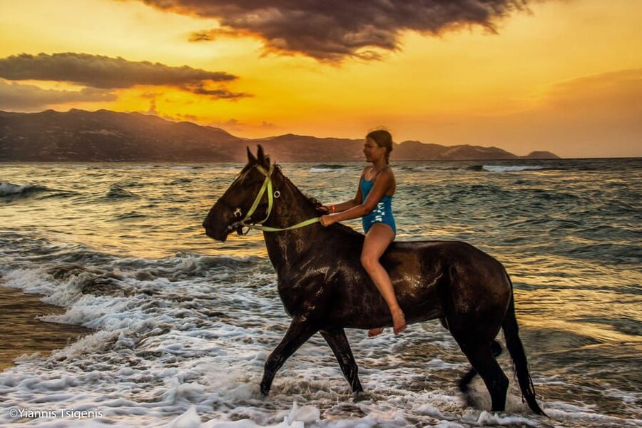 Antalya: Lara Beach & Forrest Horse Riding Safari - The forest hour: shade, calm walking, and confidence building