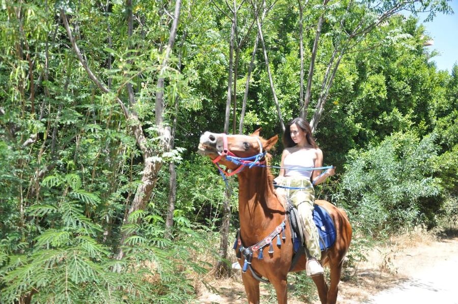 Antalya: Lara Beach & Forrest Horse Riding Safari - Price and value: what $58 buys you