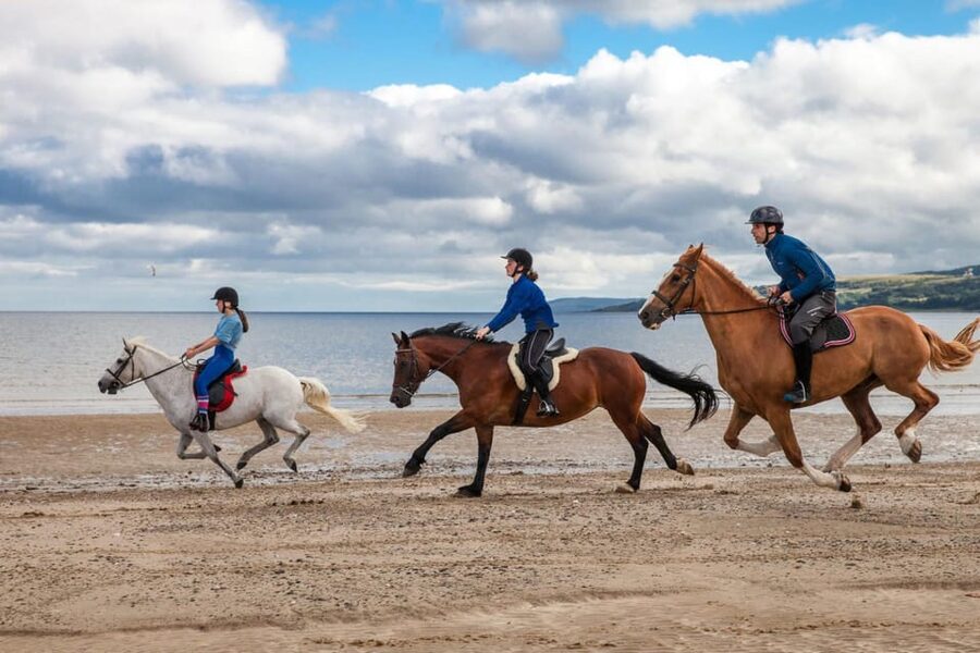 Antalya: Lara Beach & Forrest Horse Riding Safari - Who should ride, and who should skip it