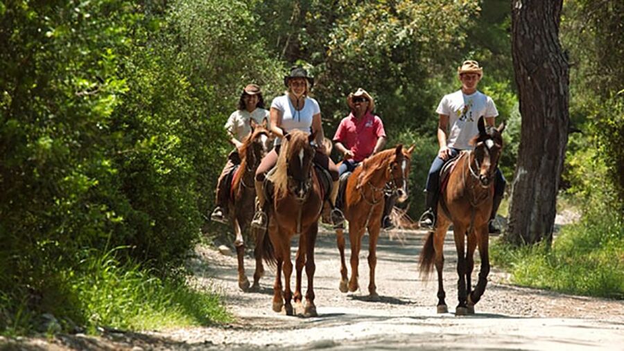 Antalya: Lara Beach & Forrest Horse Riding Safari - Should you book this Antalya Lara horse riding safari?