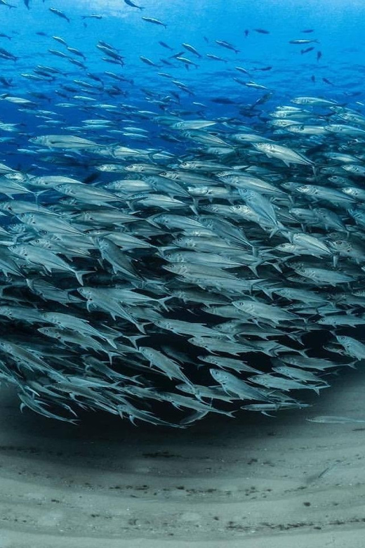 Antalya, Side and Alanya: Scuba Diving with Lunch & 2 Dives - Getting Picked Up From Many Resorts: Transfer Reality Across Antalya Province