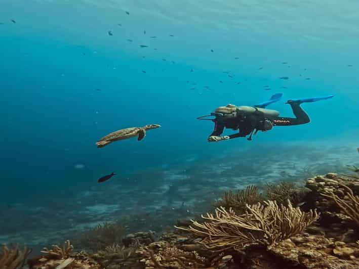 Antalya, Side and Alanya: Scuba Diving with Lunch & 2 Dives - First 6 Meters: Your Starter Underwater Session and What to Look For