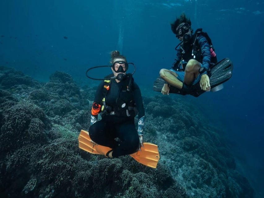 Antalya, Side and Alanya: Scuba Diving with Lunch & 2 Dives - Sunken Ships, Amphoras, Caves, and Wildlife: The Highlights You’ll Talk About