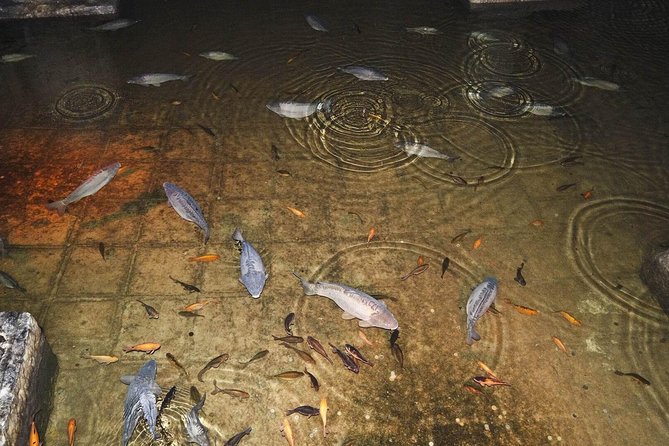 Basilica Cistern Skip the Line Ticket - Using the Audio Guide Without Wi-Fi Drama