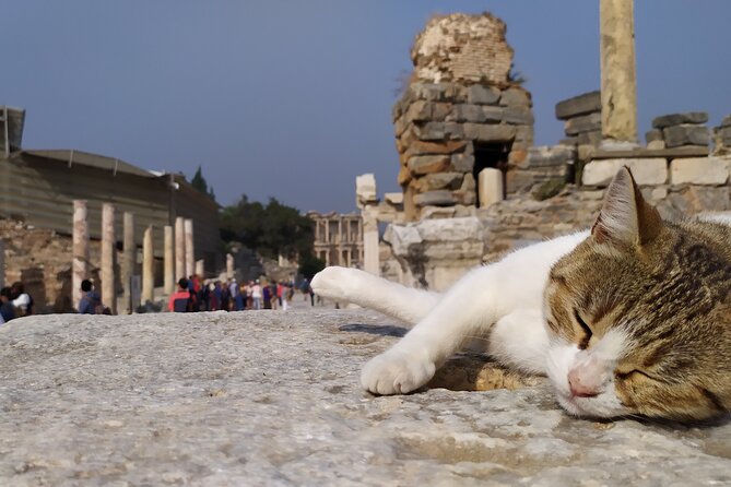 Best of Ephesus Tour From Kusadasi: Temple of Artemis, St John Basilica, Isa Bey Mosque - Isa Bey Mosque: A Short Visit With a Big Location Advantage