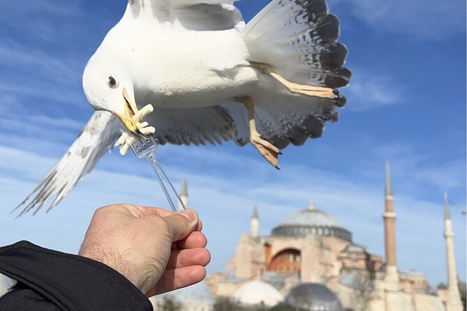 Best of Istanbul City Full-Day Tour with Transfers - Pickup, transfers, and how this 7-hour plan stays realistic