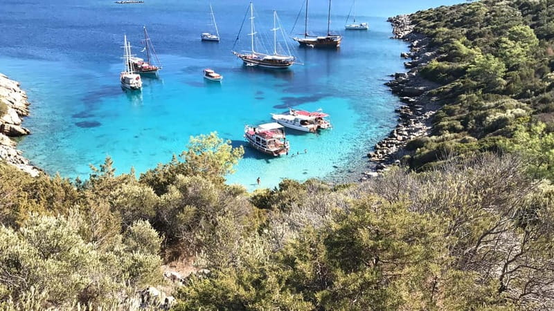 Bodrum: Boat Tour for Mein Schiff Cruise Passengers - Why this Bodrum boat ride works so well on a cruise day
