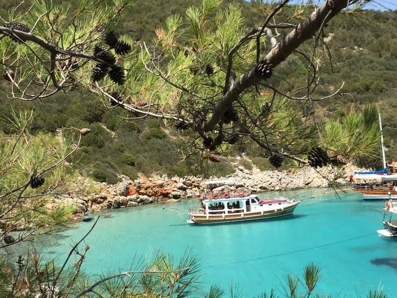 Bodrum: Boat Tour for Mein Schiff Cruise Passengers - On-board comfort: lunch, fruit, and Turkish tea without the stress