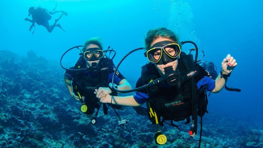 Bodrum: Full-Day Scuba Diving Tour - Key highlights I think you will care about