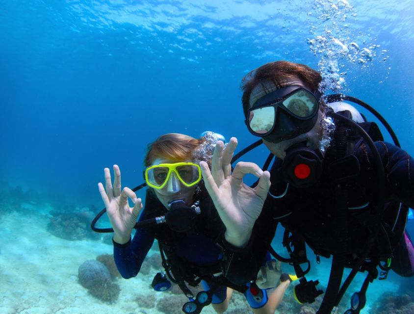 Bodrum: Full-Day Scuba Diving Tour - Team style: friendly staff and a comfort-first approach