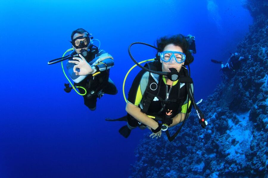 Bodrum: Full-Day Scuba Diving Tour - Reefs, caverns, and rock shelters you can actually enjoy