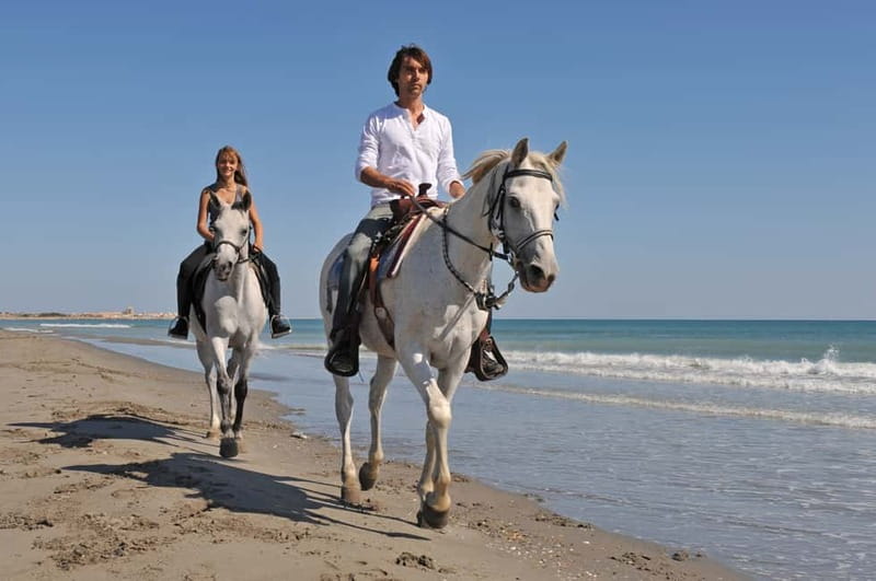 Bodrum: Horseback Riding Experience - Key things to know before you go
