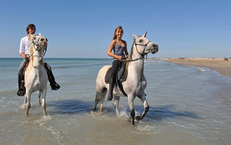 Bodrum: Horseback Riding Experience - Where the Bodrum horseback ride actually happens