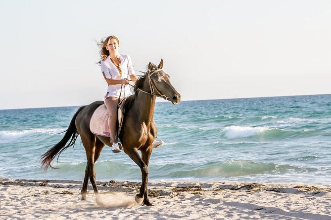 Bodrum Horseback Riding Experience with Hotel Transfer - Stop 1 in Bodrum: Your Start, Your Pickup, and the First Check-In
