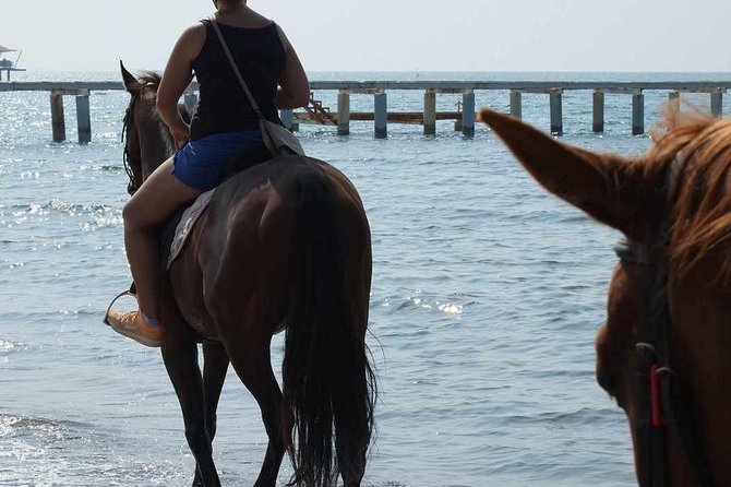Bodrum Horseback Riding Experience with Hotel Transfer - Price and Value at About $78: What’s Included, What Costs Extra