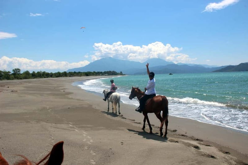 Bodrum: Horseback Riding Experience - Hotel pickup and timing: 10:00, 14:00, or 16:00