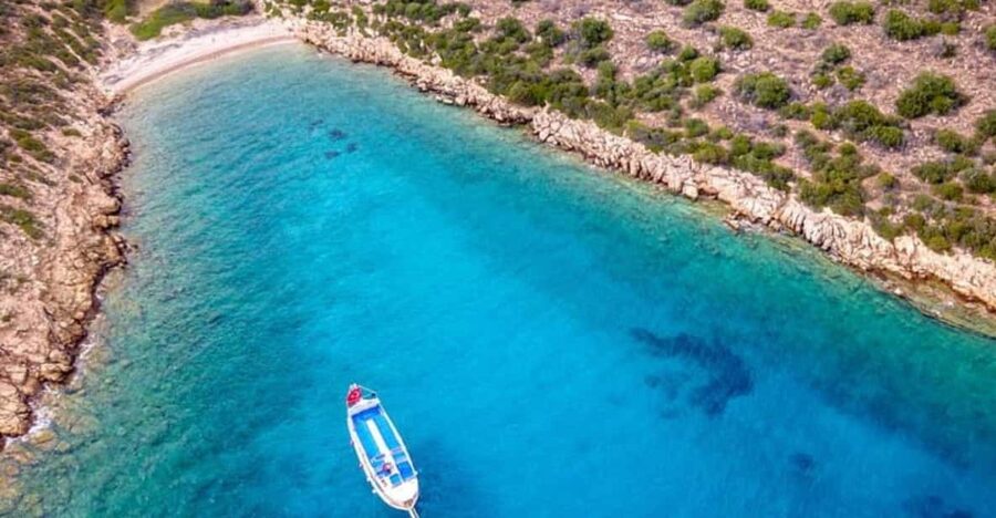 Bodrum Orak Island Boat Cruise with Lunch and Swimming - Rabbit Bay Swim Hour: Fish Watching With Clear Water