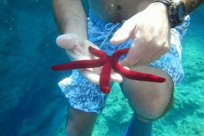 Bodrum Private Gulet Cruise with a Mediterranean Lunch - Snorkeling gear, sea time, and the small things that help