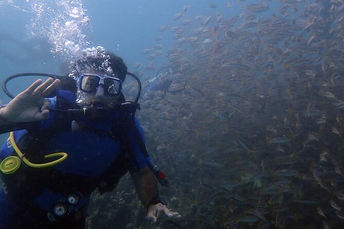 Bodrum Scuba Diving Tour With Free Hotel Transfer By Locals - Key Highlights at a Glance