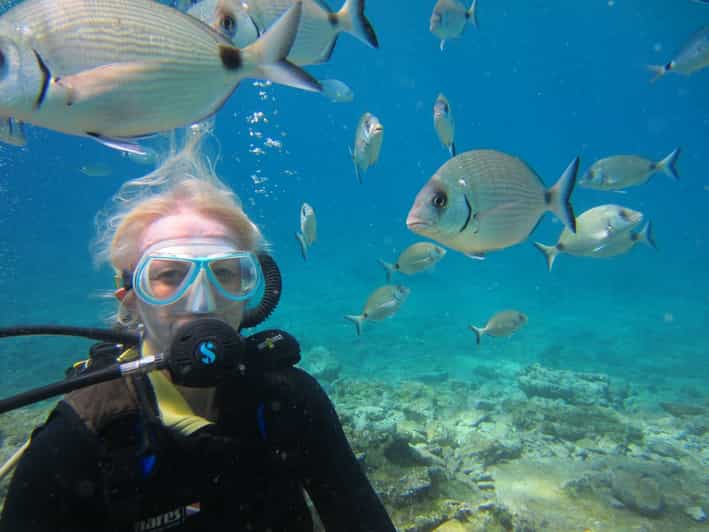 Bodrum: Scuba Diving Trip with Lunch - Halikarnas Harbour Pickup and the Part That Trips People Up