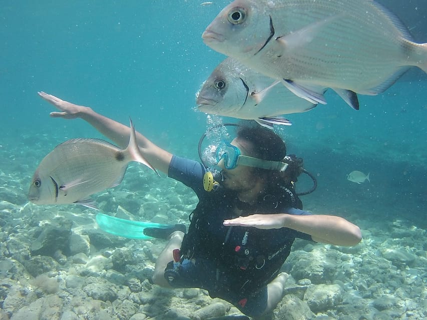 Bodrum: Scuba Diving Trip with Lunch - 20 Underwater Sites Around Black Island, and How the Boat Day Feels