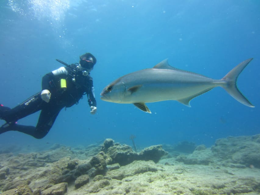 Bodrum: Scuba Diving Trip with Lunch - FAQ