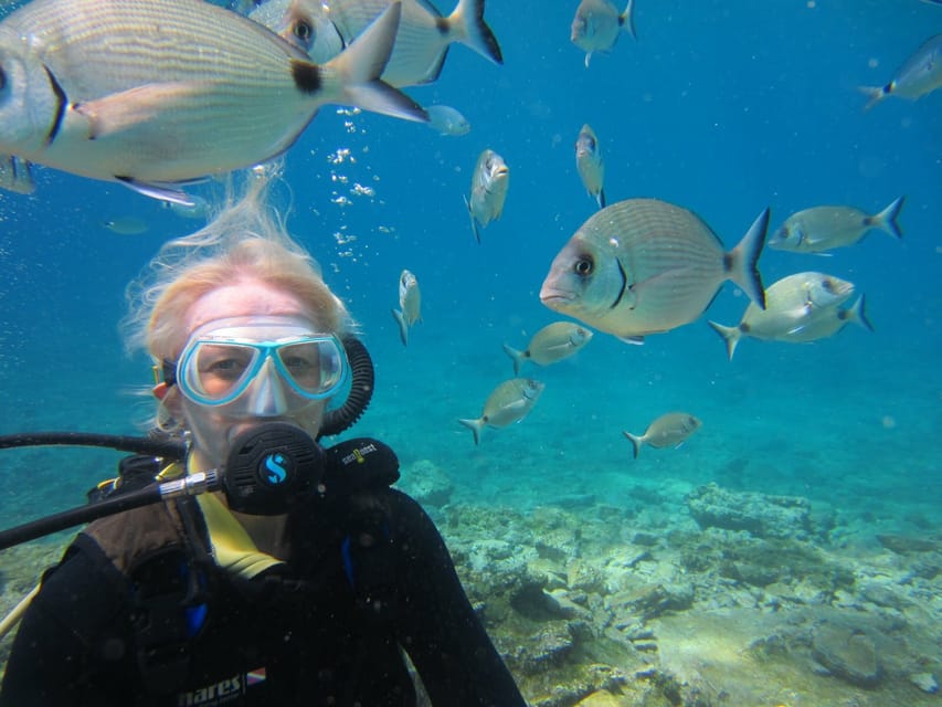 Bodrum: Scuba Diving Trip with Lunch - From Gear to Your Underwater Time: How the Scuba Session Works