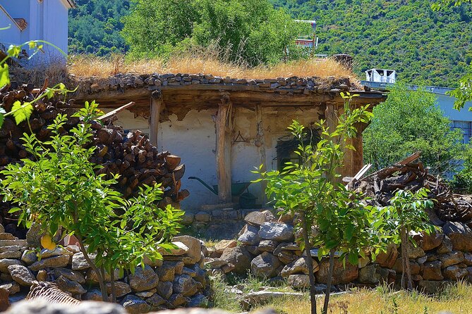 Bodrum Village Tour with Group - The Turkish Lunch: A real meal, vegetarian-friendly