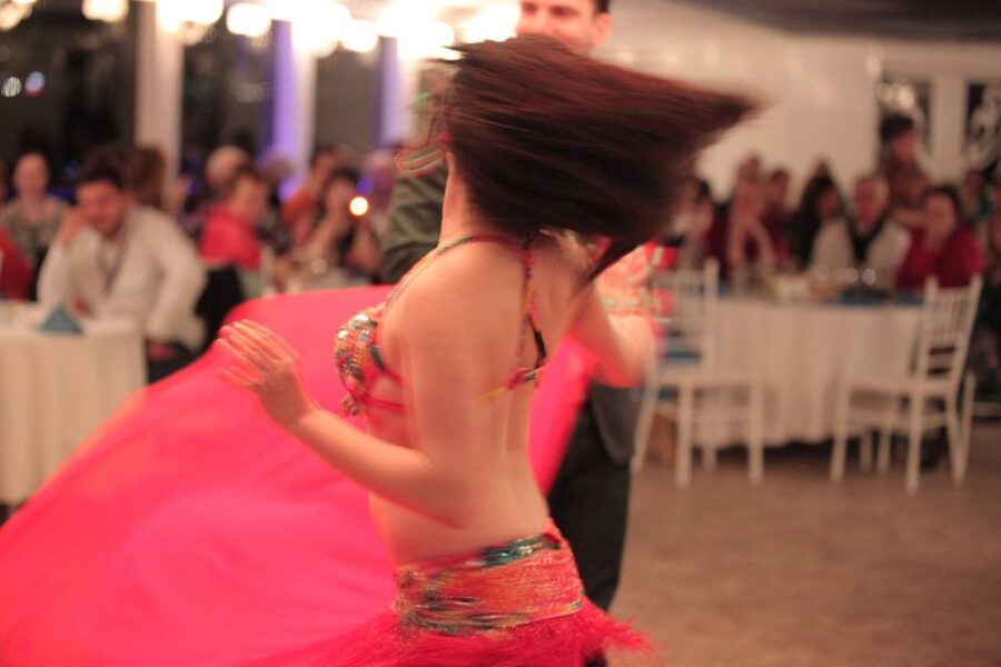 Bosphorus: Dinner Cruise with Live Performances Experience - How the 8:45 PM Bosphorus Cruise Really Works