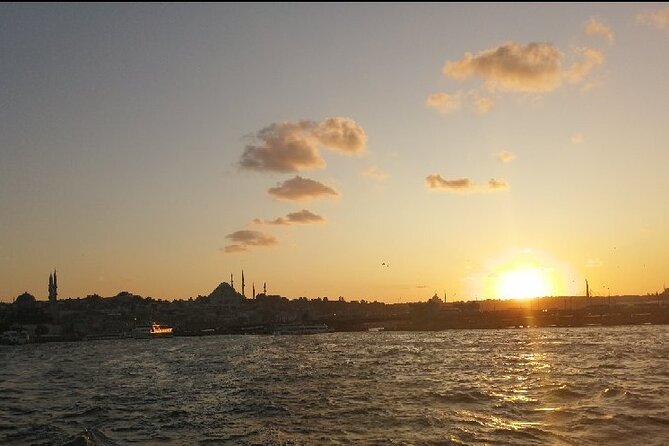 Bosphorus Explorer: 3-Hour Cruise with Asian Side Visit - Galata to the Bosphorus Bridge: the Europe side begins strong
