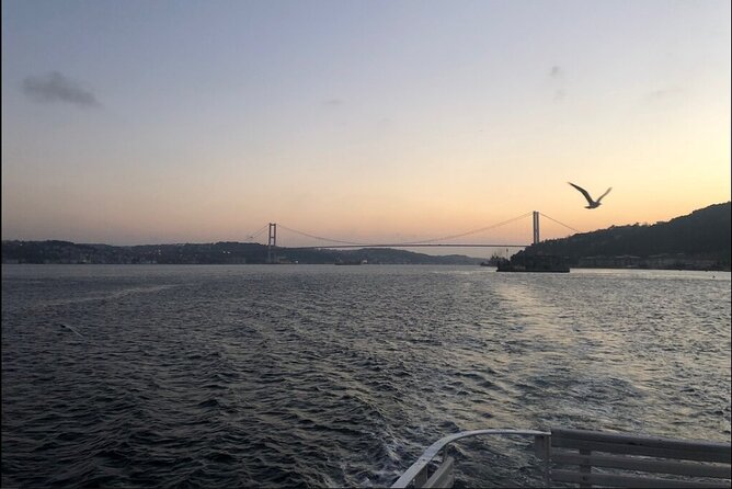Bosphorus Explorer: 3-Hour Cruise with Asian Side Visit - The Asian-side stop: Beylerbeyi time and what to do with it