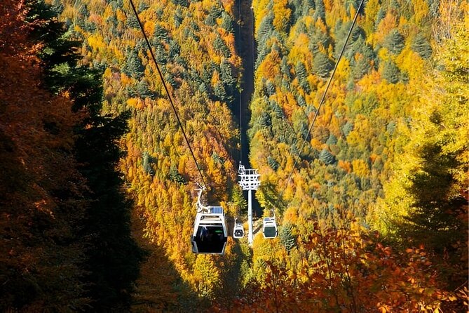 Bursa And Uludağ Tour From İstanbul with Cable Car & Lunch - Istanbul to Bursa by Ferry and Bus: The Motion Makes the Day Work
