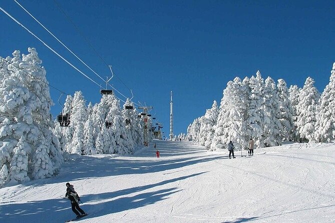 Bursa Uludag Tour From Istanbul with Lunch - The value question: is $27.09 a bargain or a trade-off?