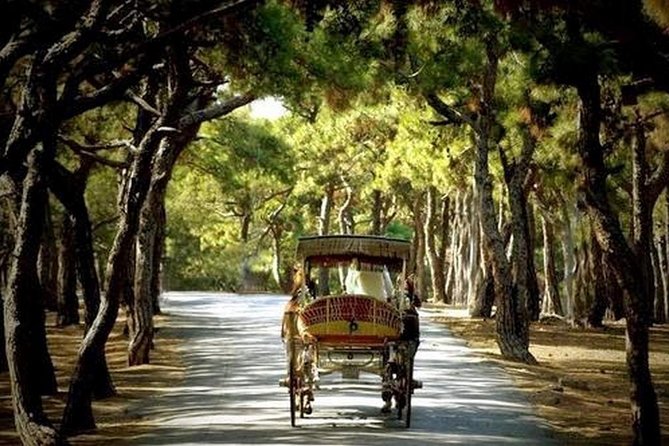 Buyukada Princes’ Island Guided Day Tour with lunch from Istanbul - Büyükada Highlights You Can Actually Use: Mansions, History, and Seabird Breaks