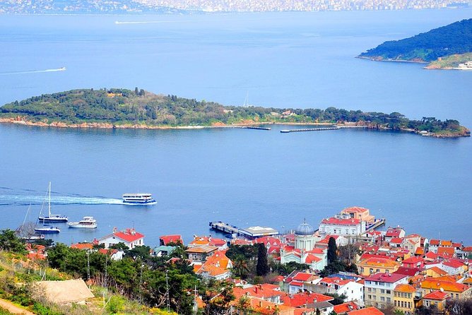 Buyukada Princes’ Island Guided Day Tour with lunch from Istanbul - Lunch at the Fish Restaurant, Then How Your Afternoon Really Works